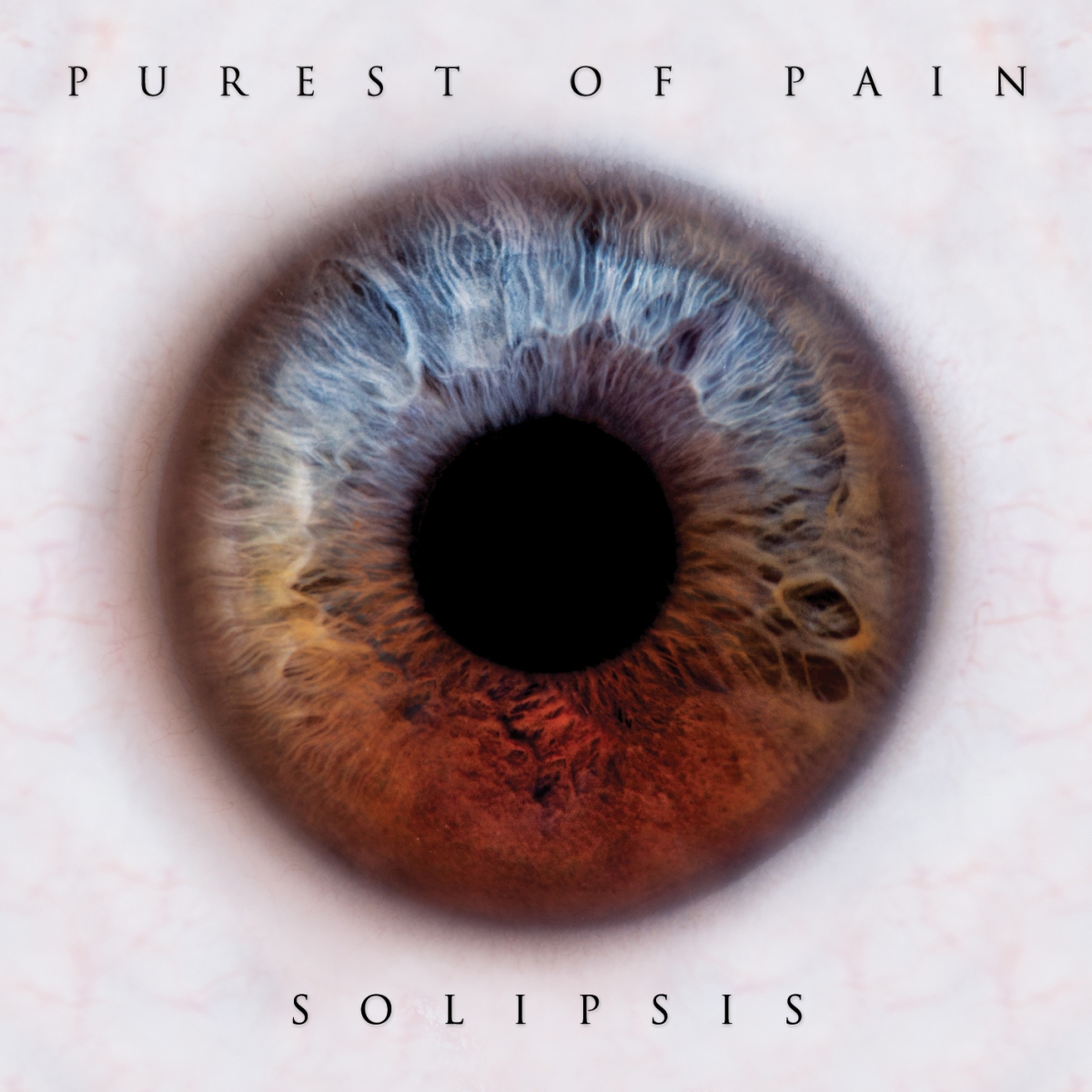 Purest of Pain – Solipsis – Album Review
